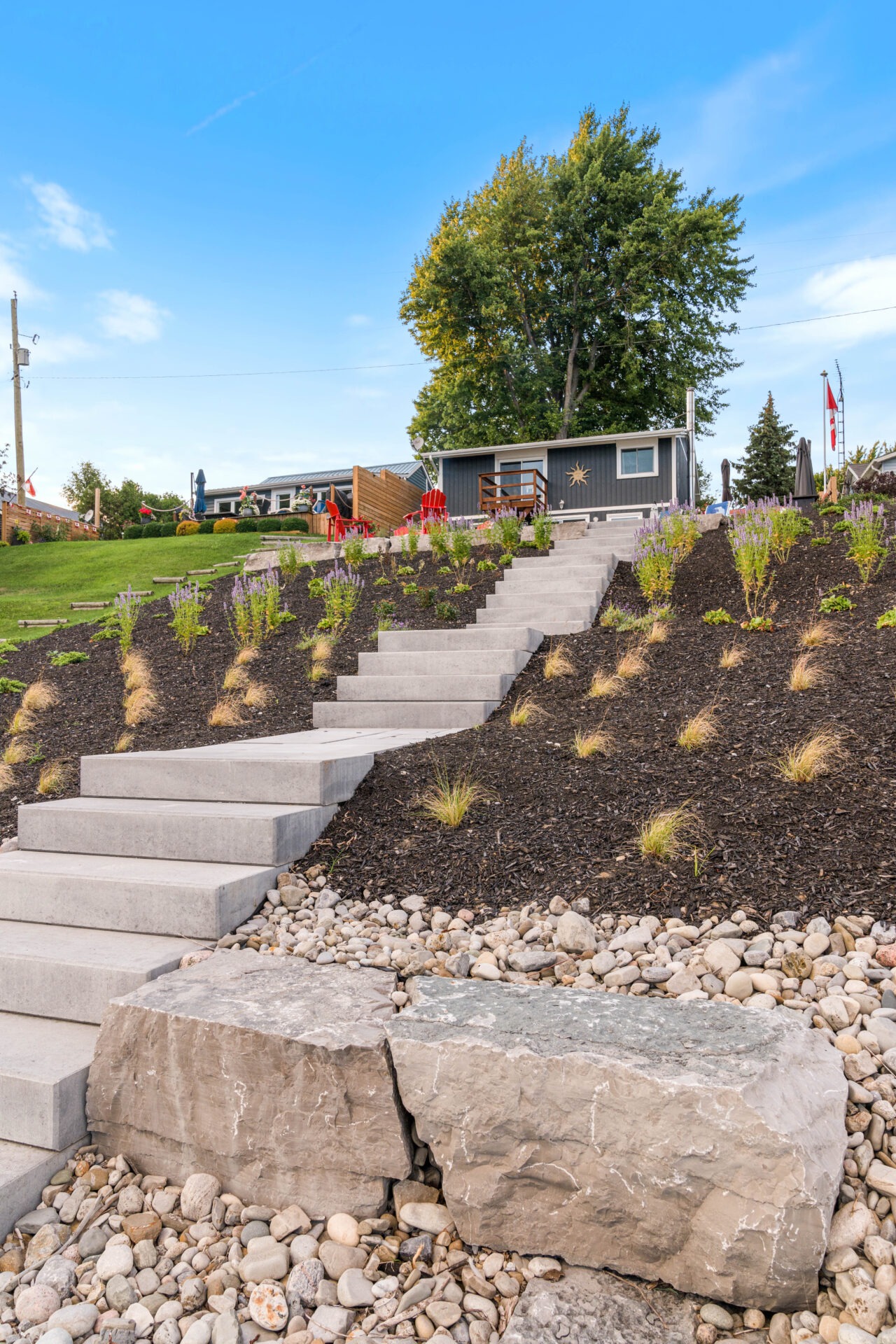 This image shows a landscaped garden with concrete steps leading up a slope, flanked by planted areas with mulch, decorative rocks, and a large tree.