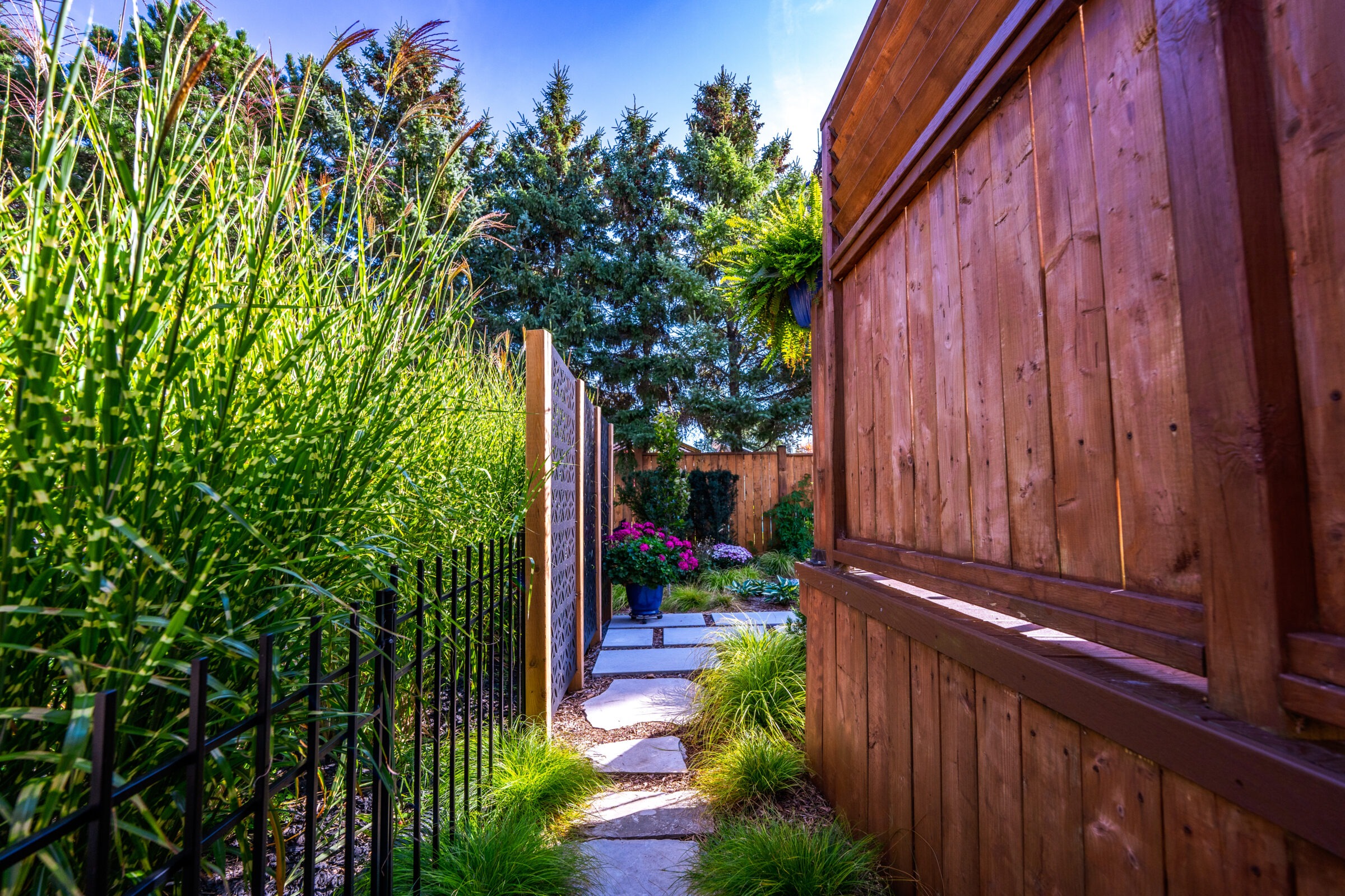 A peaceful garden pathway flanked by lush greenery, a wooden fence, and a black metal gate leading to a vibrant flower pot under clear skies.