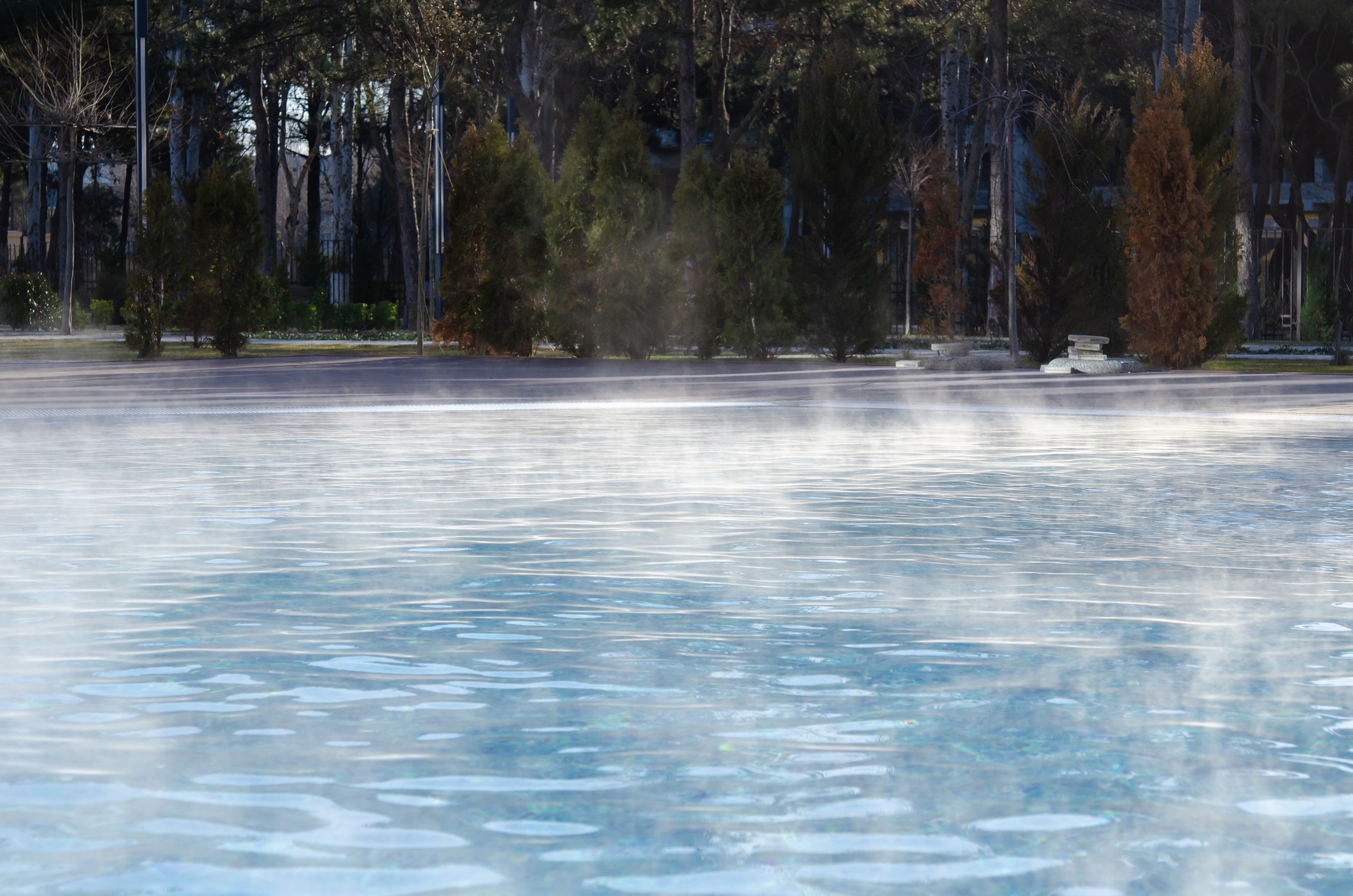 An outdoor scene with mist hovering above a blue-hued surface, with trees and park benches in the background under a clear sky.