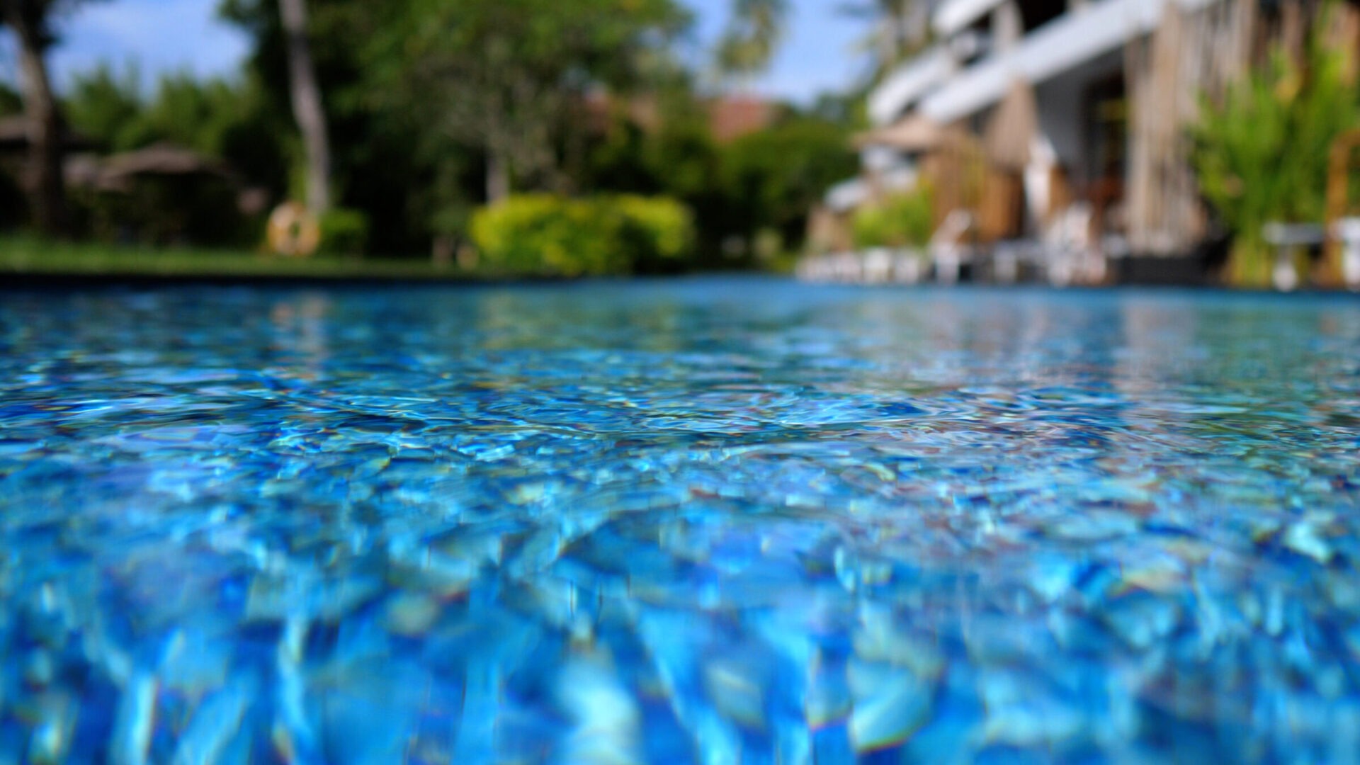 This image shows a vibrant, blue swimming pool with a rippling water surface, set against a blurred backdrop of greenery and resort-style buildings.