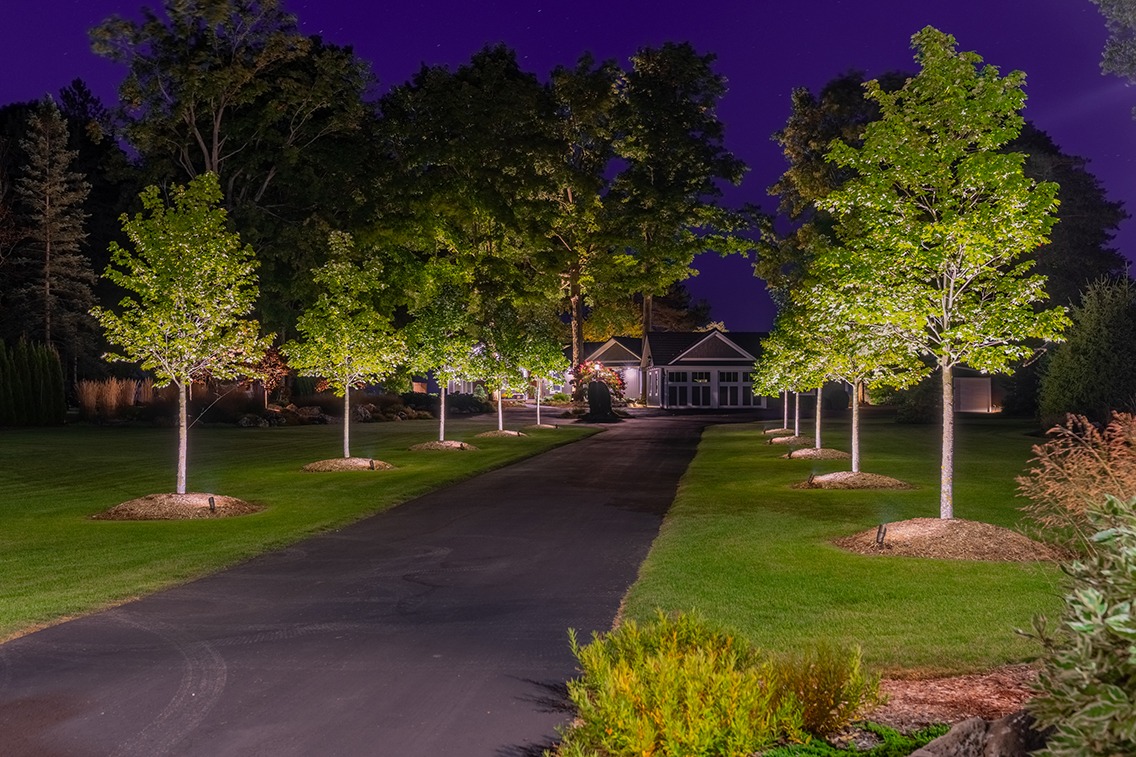 Nighttime view of a long, paved driveway lined with evenly spaced trees illuminated by landscape lighting. The trees cast a warm glow over neatly manicured lawns, leading toward a well-lit home nestled among mature trees in the background. The deep purple evening sky contrasts with the soft lighting, highlighting the elegant, symmetrical entrance approach.