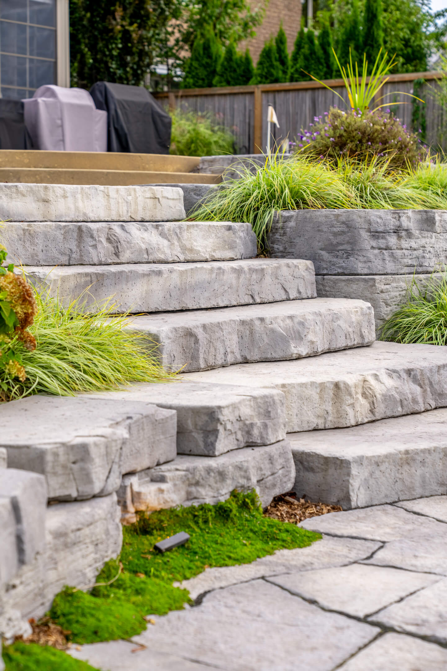 Close-up of wide, rugged grey stone steps with green moss and ornamental grasses in a tiered backyard.