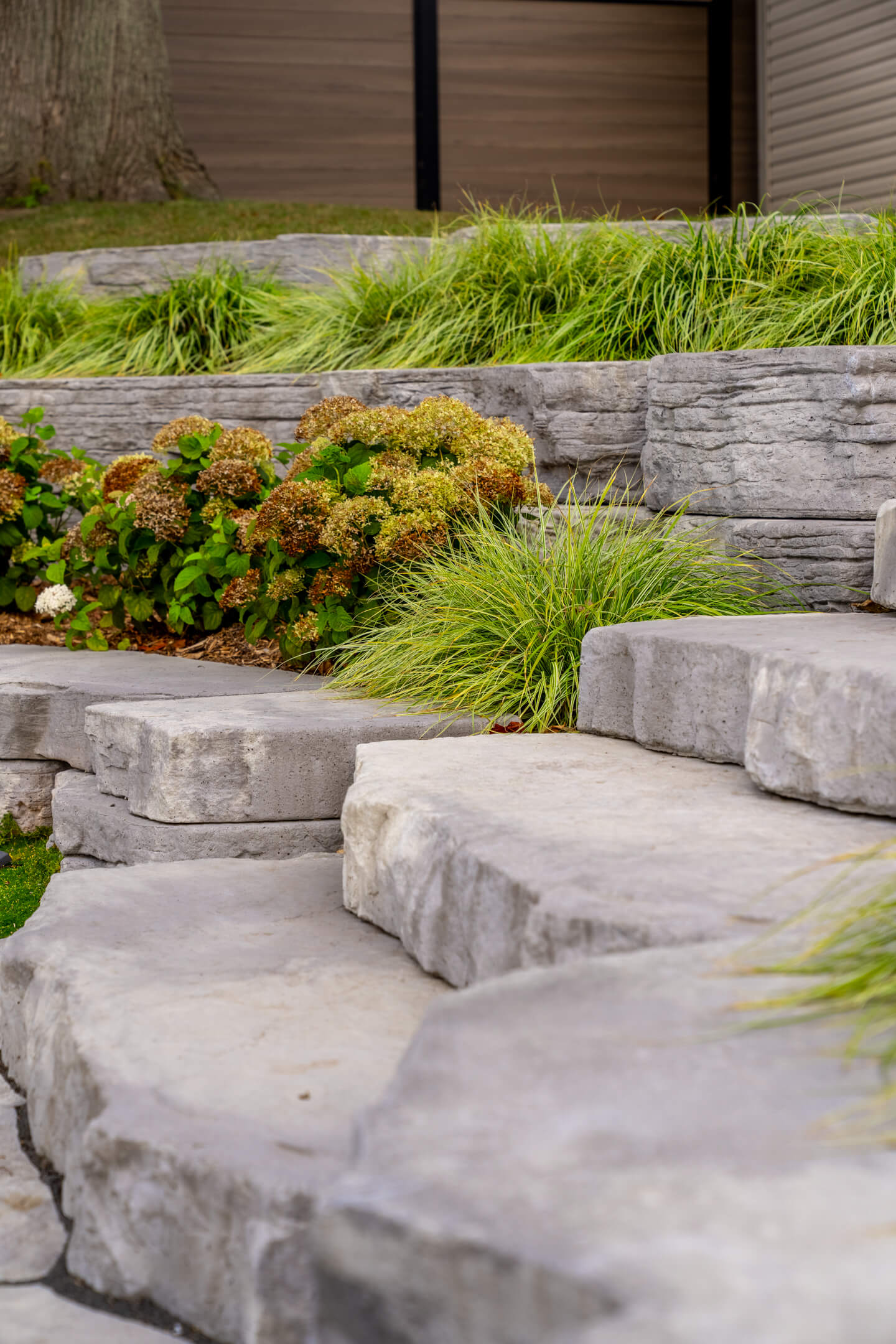 Close-up of rugged stone steps and retaining walls with green ornamental grasses and blooming hydrangeas.
