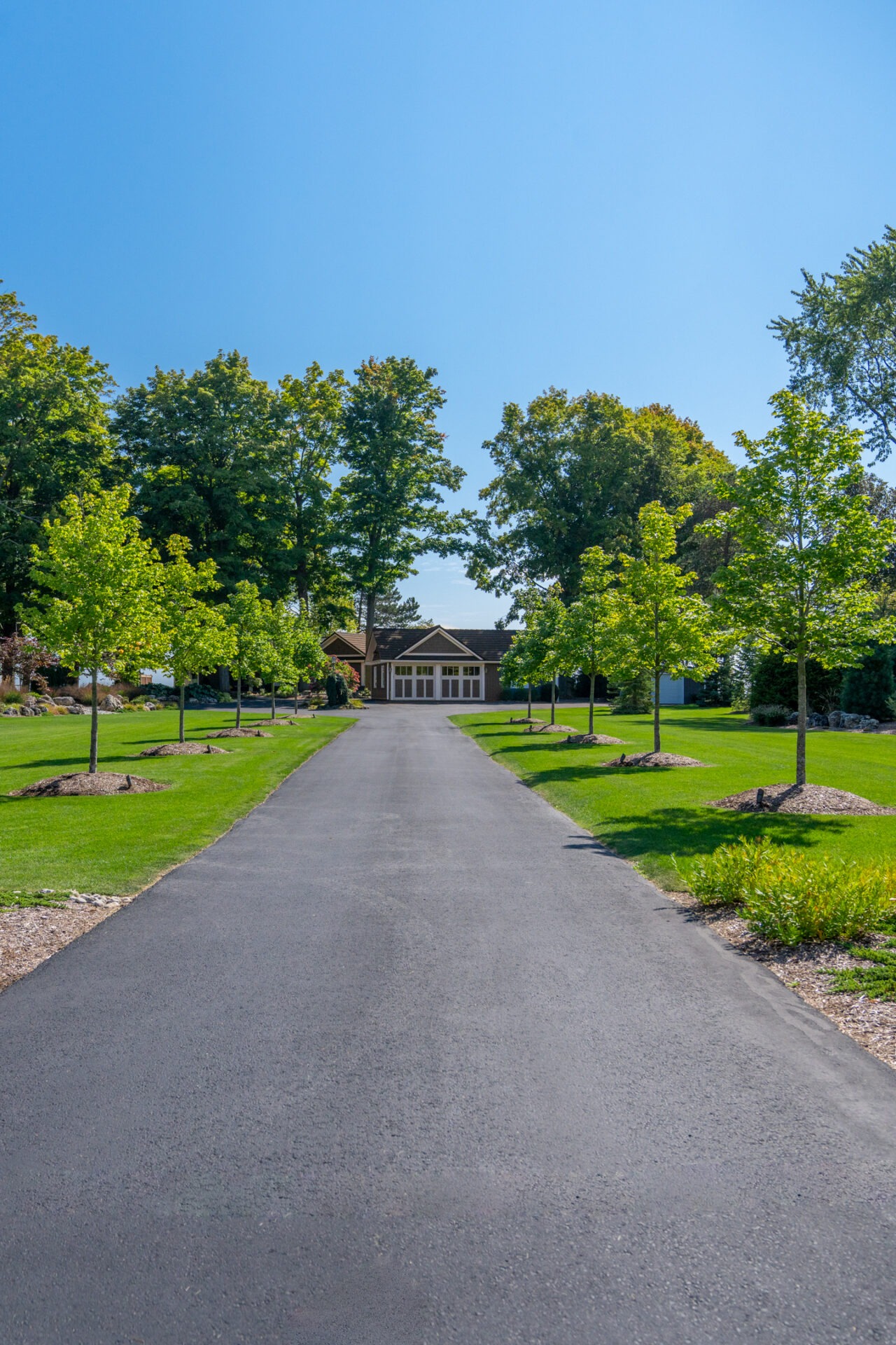 A long, smooth asphalt driveway lined with perfectly spaced young trees on a manicured green lawn.