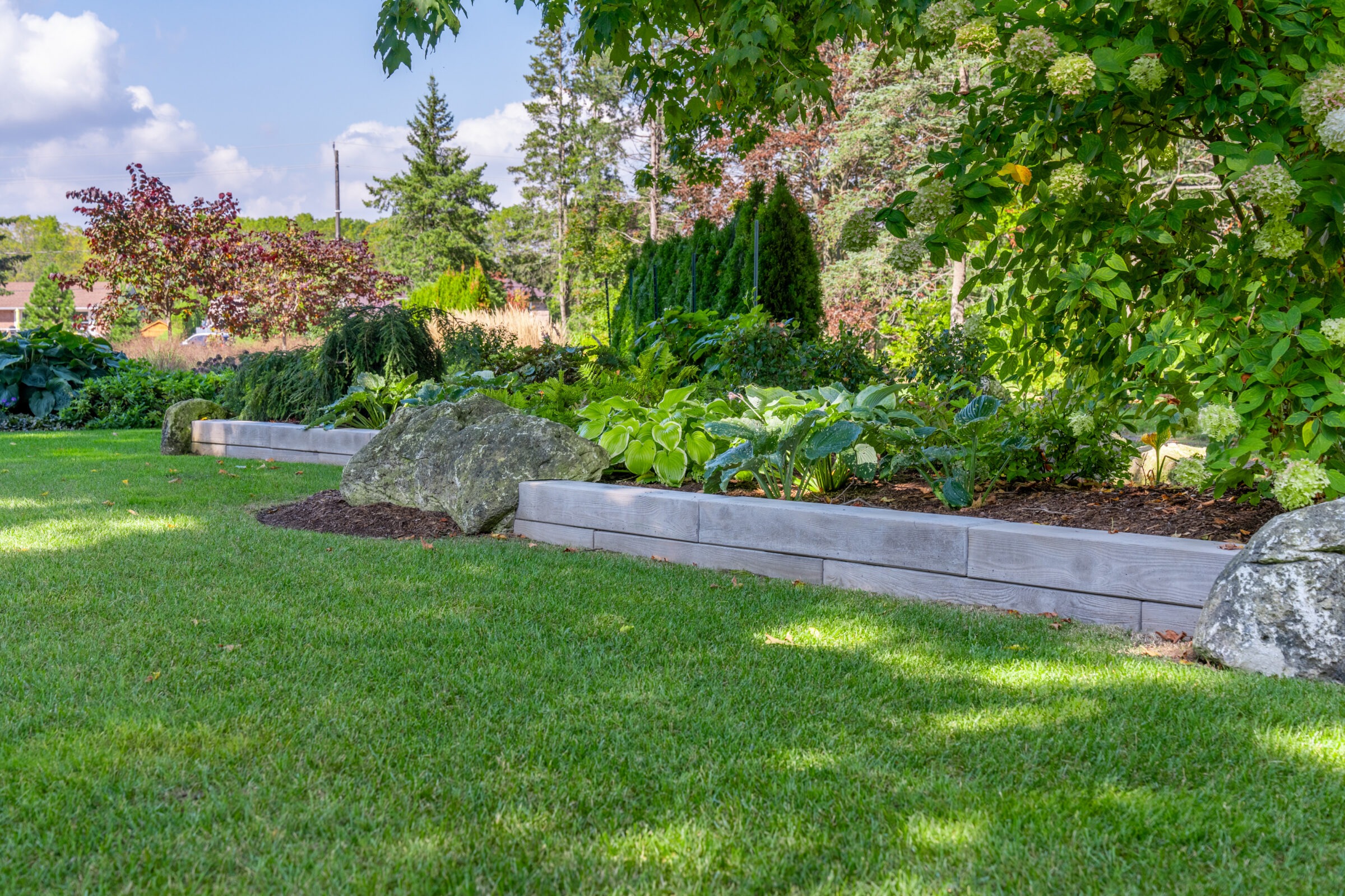Low-profile stone retaining wall bordering a lush garden bed with various green hostas and shrubs.