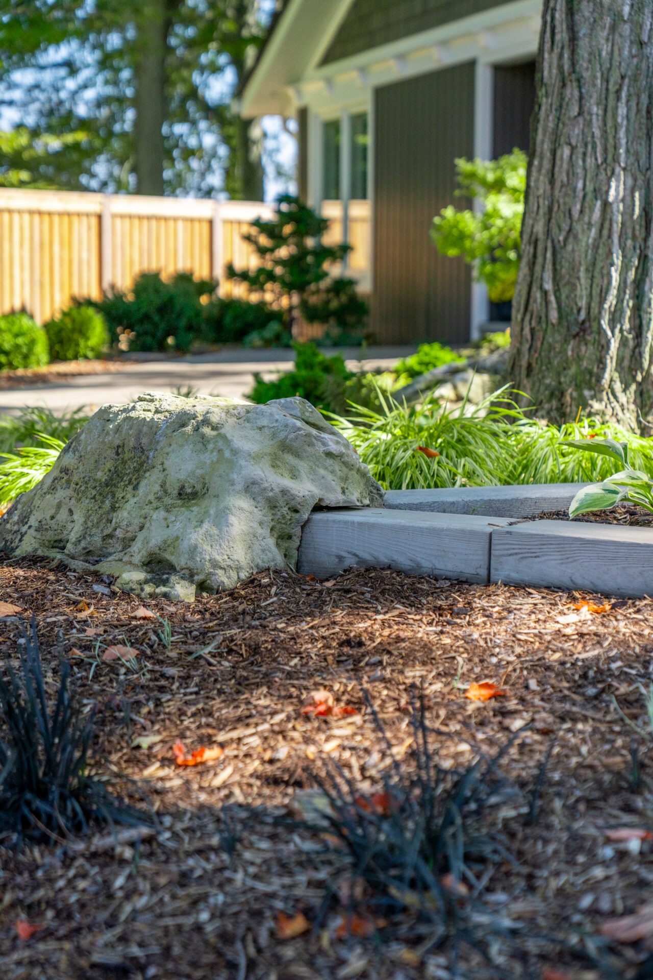 Close-up of a large landscape rock integrated into a garden bed with mulch and green ornamental grasses.