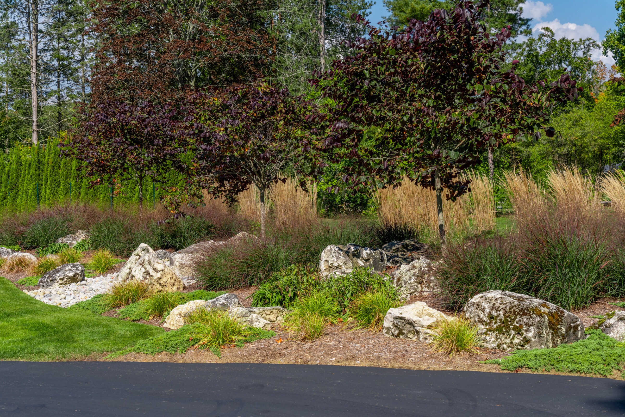 A scenic garden bed featuring large white boulders, dark-leafed trees, and tall ornamental grasses.