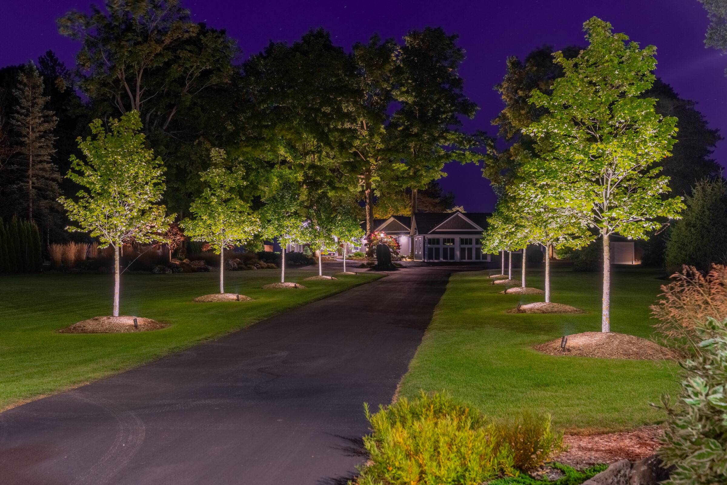 Wide night view of a professionally lit driveway and property with glowing trees and a lit garage.